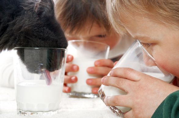 kids drinking Trink milk